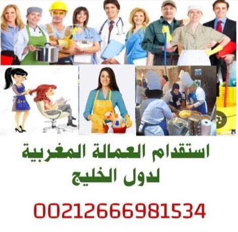 mktb-astkdam-aamal-mnzly-mghrby-ldol-alamarat-big-0