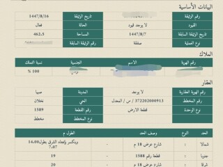 صبيا نخلان ارض للبيع شارعين