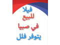 flh-fyla-llbyaa-sbya-fll-oaamayr-obyot-fy-sbya-small-0