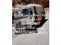 dyna-tsh-tkhls-mn-alathath-alkdym-balryad-otsh-small-0